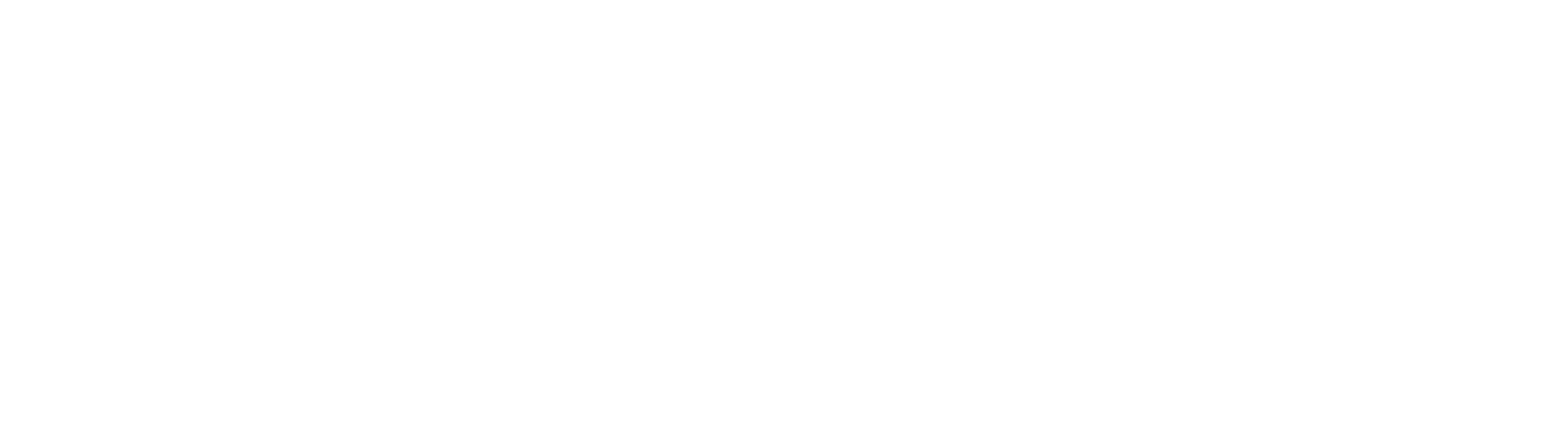 Evolve Training Systems